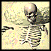 A skeleton